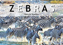 Kalender Zebras, Stars in Streifen (Wandkalender 2022 DIN A2 quer) von ROBERT STYPPA