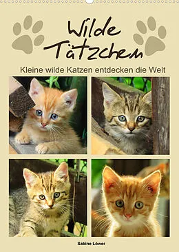 Kalender Wilde Tätzchen - Kleine wilde Katzen entdecken die Welt (Wandkalender 2022 DIN A2 hoch) von Sabine Löwer