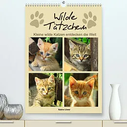 Kalender Wilde Tätzchen - Kleine wilde Katzen entdecken die Welt (Premium, hochwertiger DIN A2 Wandkalender 2022, Kunstdruck in Hochglanz) von Sabine Löwer