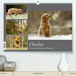 Kalender Chesley Kleiner Hund Grosses AbenteuerCH-Version (Premium, hochwertiger DIN A2 Wandkalender 2022, Kunstdruck in Hochglanz) von Hundfotografin Bea Müller