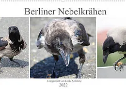 Kalender Berliner Nebelkrähen (Wandkalender 2022 DIN A2 quer) von Linda Schilling