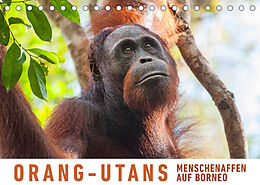 Kalender Orang-Utans Menschenaffen auf Borneo (Tischkalender 2022 DIN A5 quer) von Martin Ristl