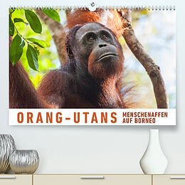 Kalender Orang-Utans Menschenaffen auf Borneo (Premium, hochwertiger DIN A2 Wandkalender 2022, Kunstdruck in Hochglanz) von Martin Ristl