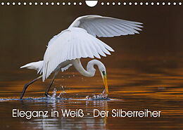Kalender Eleganz in Weiß - Der Silberreiher (Wandkalender 2022 DIN A4 quer) von Wilfried Martin