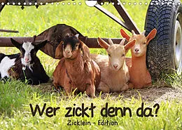 Kalender Wer zickt denn da? - Zicklein-Edition (Wandkalender 2022 DIN A4 quer) von Sabine Löwer