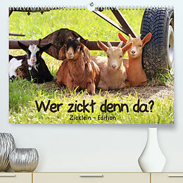 Kalender Wer zickt denn da? - Zicklein-Edition (Premium, hochwertiger DIN A2 Wandkalender 2022, Kunstdruck in Hochglanz) von Sabine Löwer