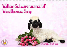 Kalender Walliser Schwarznasenschaf Valais Blacknose Sheep (Wandkalender 2022 DIN A3 quer) von Jeanette Hutfluss