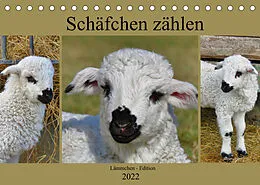 Kalender Schäfchen zählen - Lämmchen-Edition (Tischkalender 2022 DIN A5 quer) von Sabine Löwer