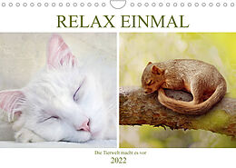 Kalender Relax einmal - Die Tierwelt macht es vor (Wandkalender 2022 DIN A4 quer) von Liselotte Brunner-Klaus