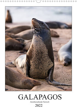 Kalender Galapagos - Atemberaubende Tierwelt (Wandkalender 2022 DIN A3 hoch) von Jeanette Dobrindt