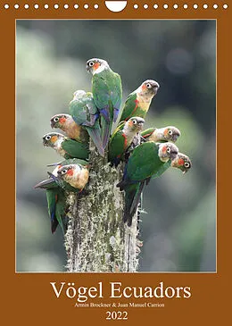 Kalender Vögel Ecuadors (Wandkalender 2022 DIN A4 hoch) von Armin Brockner