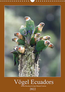 Kalender Vögel Ecuadors (Wandkalender 2022 DIN A3 hoch) von Armin Brockner