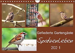 Kalender Gefiederte Gartengäste - Spatzenleben (Wandkalender 2022 DIN A4 quer) von Sabine Löwer
