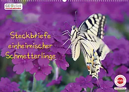 Kalender GEOclick Lernkalender: Steckbriefe einheimischer Schmetterlinge (Wandkalender 2022 DIN A2 quer) von Klaus Feske