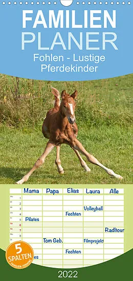 Kalender Fohlen - Lustige Pferdekinder - Familienplaner hoch (Wandkalender 2022 , 21 cm x 45 cm, hoch) von Meike Bölts