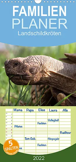 Kalender Familienplaner Landschildkröten (Wandkalender 2022 , 21 cm x 45 cm, hoch) von Marion Sixt