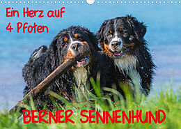 Kalender Ein Herz auf 4 Pfoten - Berner Sennenhund (Wandkalender 2022 DIN A3 quer) von Sigrid Starick