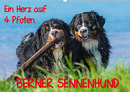 Kalender Ein Herz auf 4 Pfoten - Berner Sennenhund (Wandkalender 2022 DIN A2 quer) von Sigrid Starick