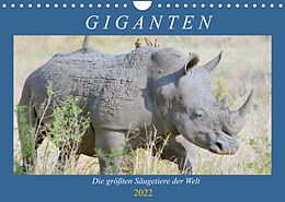 Kalender Giganten. Die größten Säugetiere der Welt (Wandkalender 2022 DIN A4 quer) von Rose Hurley