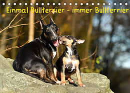 Kalender Einmal Bullterrier - immer Bullterrier (Tischkalender 2022 DIN A5 quer) von Yvonne Janetzek