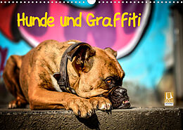 Kalender Hunde und Graffiti (Wandkalender 2022 DIN A3 quer) von Yvonne Janetzek