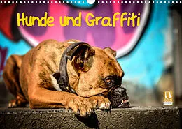 Kalender Hunde und Graffiti (Wandkalender 2022 DIN A3 quer) von Yvonne Janetzek