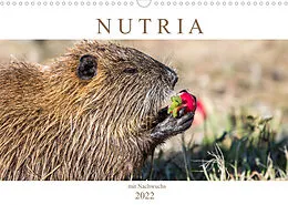 Kalender NUTRIA mit Nachwuchs (Wandkalender 2022 DIN A3 quer) von SchnelleWelten