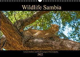 Kalender Wildlife Sambia (Wandkalender 2022 DIN A3 quer) von Photo4emotion.com