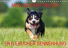 Kalender Mein bester Freund - Entlebucher Sennenhund (Wandkalender 2022 DIN A4 quer) von N N