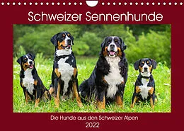 Kalender Schweizer Sennenhunde - die Hunde aus den Schweizer Alpen (Wandkalender 2022 DIN A4 quer) von Sigrid Starick