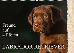 Kalender Freund auf 4 Pfoten - Labrador Retriever (Wandkalender 2022 DIN A2 quer) von Sigrid Starick