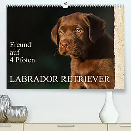 Kalender Freund auf 4 Pfoten - Labrador Retriever (Premium, hochwertiger DIN A2 Wandkalender 2022, Kunstdruck in Hochglanz) von Sigrid Starick