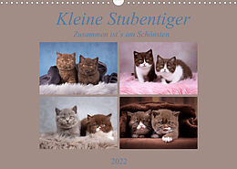 Kalender Kleine Stubenstiger (Wandkalender 2022 DIN A3 quer) von Janina Bürger