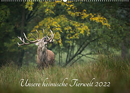 Kalender Unsere heimische Tierwelt (Wandkalender 2022 DIN A2 quer) von Björn Reibert
