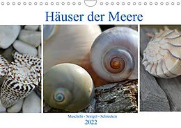 Kalender Häuser der Meere: Muscheln - Seeigel - Schnecken (Wandkalender 2022 DIN A4 quer) von Renate Grobelny