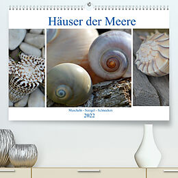 Kalender Häuser der Meere: Muscheln - Seeigel - Schnecken (Premium, hochwertiger DIN A2 Wandkalender 2022, Kunstdruck in Hochglanz) von Renate Grobelny