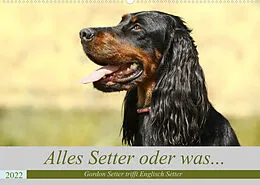 Kalender Alles Setter oder was (Wandkalender 2022 DIN A2 quer) von Hundefotografie Bea Müller