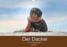 Kalender Der Dackel (Wandkalender 2022 DIN A3 quer) von Anja Foto Grafia Fotografie