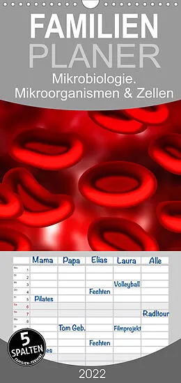 Kalender Familienplaner Mikrobiologie. Mikroorganismen und Zellen (Wandkalender 2022 , 21 cm x 45 cm, hoch) von Elisabeth Stanzer