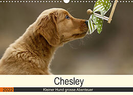 Kalender Chesley Kleiner Hund grosse Abenteuer (Wandkalender 2022 DIN A3 quer) von Hundefotografie Bea Müller