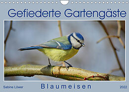 Kalender Gefiederte Gartengäste - Blaumeisen (Wandkalender 2022 DIN A4 quer) von Sabine Löwer