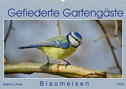 Kalender Gefiederte Gartengäste - Blaumeisen (Wandkalender 2022 DIN A2 quer) von Sabine Löwer