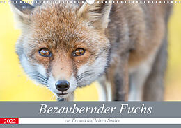Kalender Bezaubernder Fuchs - ein Freund auf leisen Sohlen (Wandkalender 2022 DIN A3 quer) von Perdita Petzl
