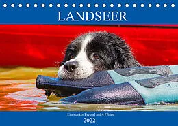 Kalender Landseer - Ein starker Freund auf 4 Pfoten (Tischkalender 2022 DIN A5 quer) von Sigrid Starick