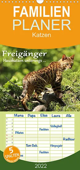 Kalender Freigänger - Hauskatzen unterwegs - Familienplaner hoch (Wandkalender 2022 , 21 cm x 45 cm, hoch) von Werner Schmäing