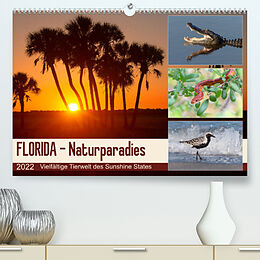 Kalender FLORIDA - Naturparadies (Premium, hochwertiger DIN A2 Wandkalender 2022, Kunstdruck in Hochglanz) von Kevin Eßer