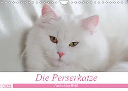 Kalender Die Perserkatze - Farbschlag Weiß (Wandkalender 2022 DIN A4 quer) von Arno Klatt
