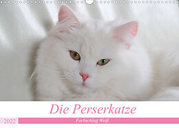 Kalender Die Perserkatze - Farbschlag Weiß (Wandkalender 2022 DIN A3 quer) von Arno Klatt