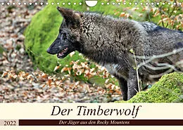 Kalender Der Timberwolf - Der Jäger aus den Rocky Mountains (Wandkalender 2022 DIN A4 quer) von Arno Klatt