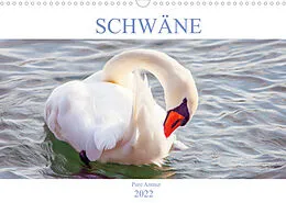 Kalender Schwäne - Pure Anmut (Wandkalender 2022 DIN A3 quer) von Liselotte Brunner-Klaus